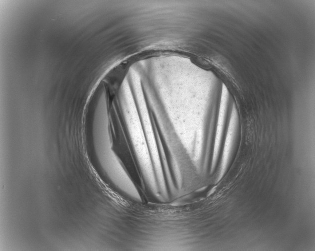 X0000056000976200509162313