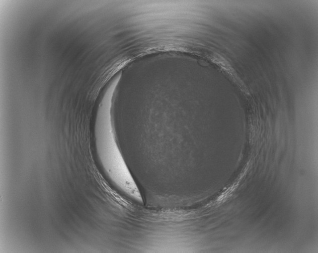 X0000056000977200509162313