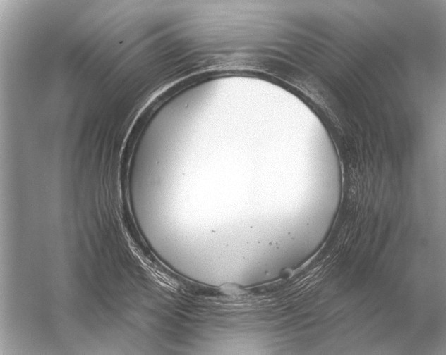 X0000056000980200509162313