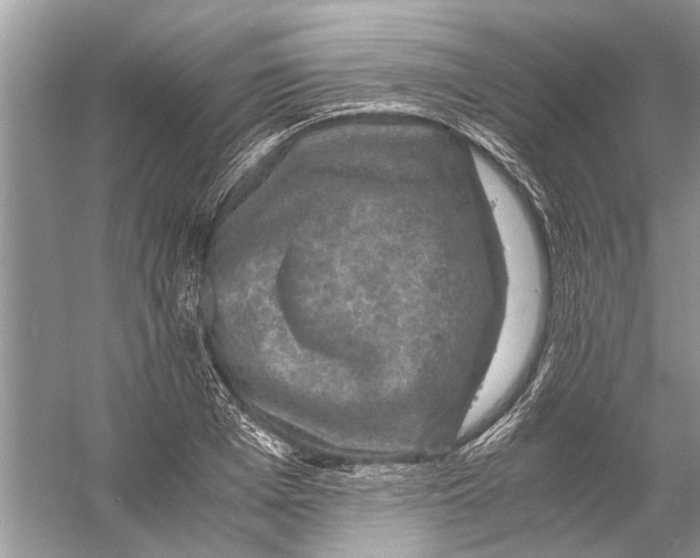 X0000056000985200509162313