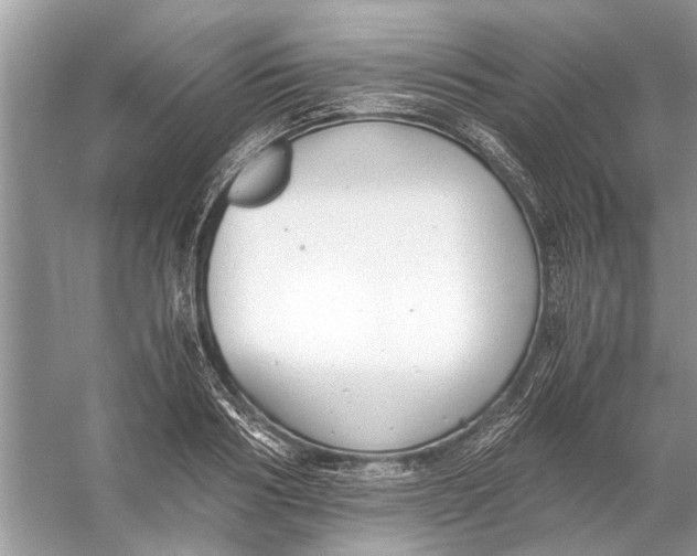 X0000056000986200509162313