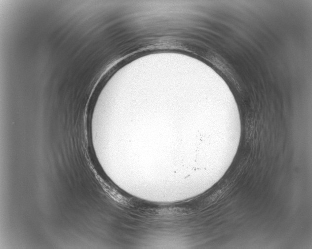 X0000056000988200509162313