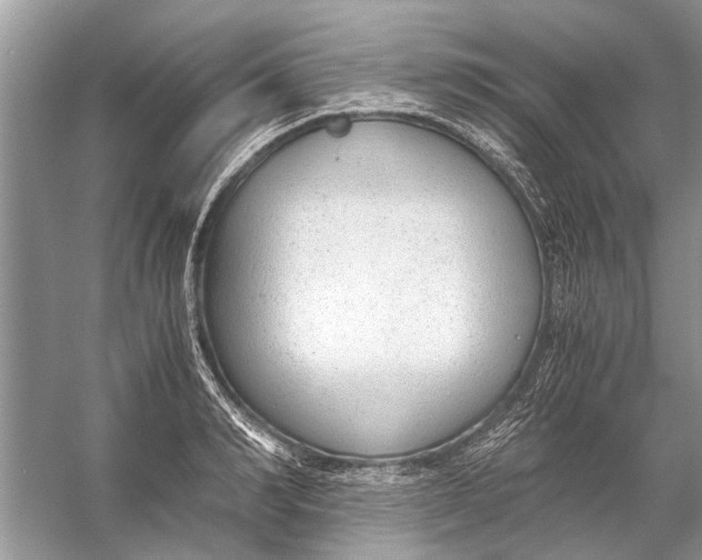 X0000056000990200509162313