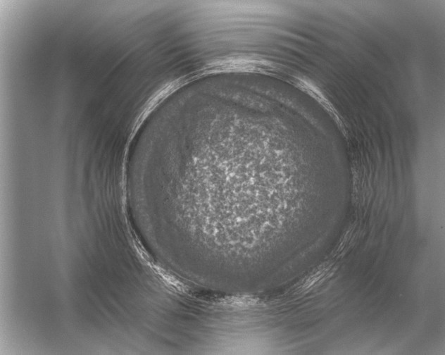 X0000056000994200509162313