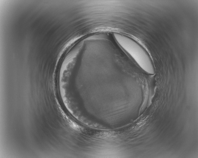 X0000056000995200509162313