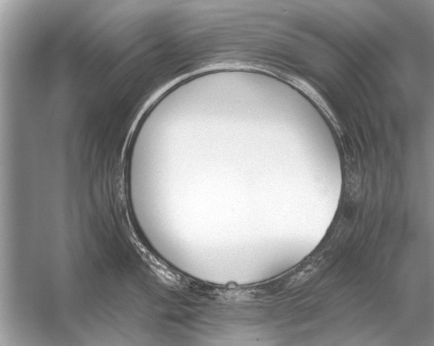 X0000056001004200509162313