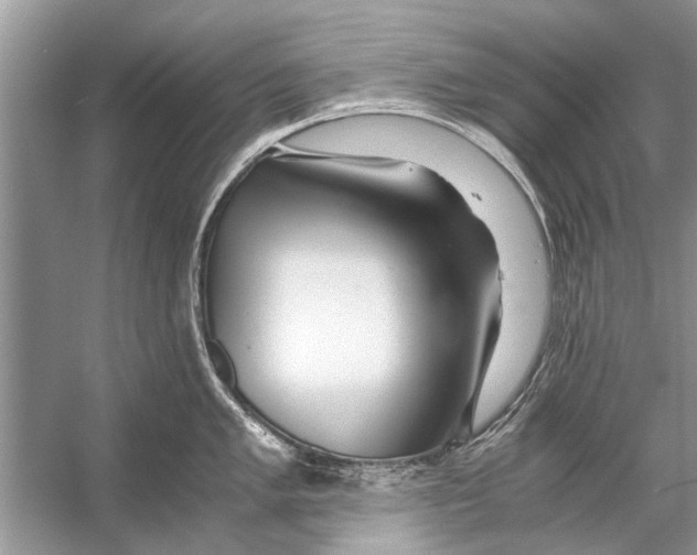 X0000056001005200509162313