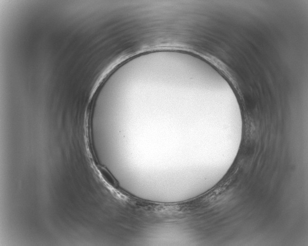 X0000056001006200509162313