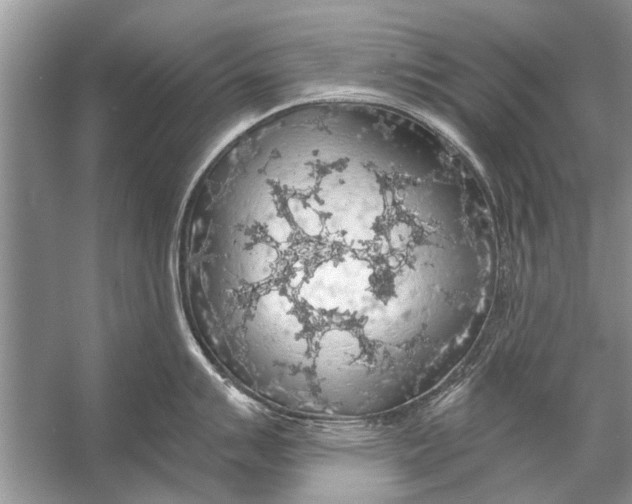 X0000056001007200509162313