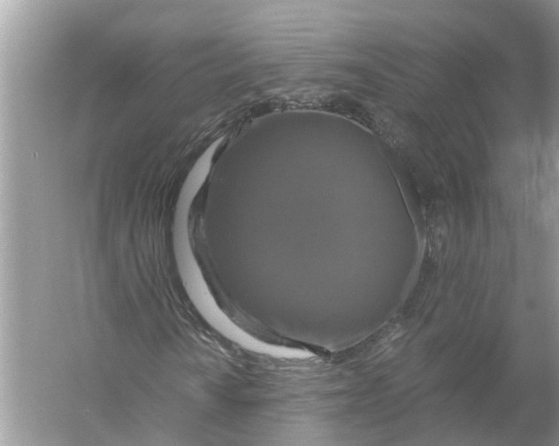 X0000056001010200509162312