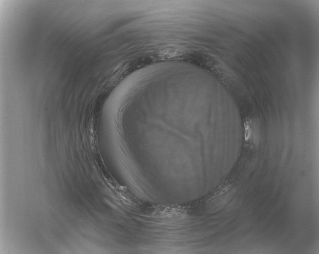 X0000056001011200509162312