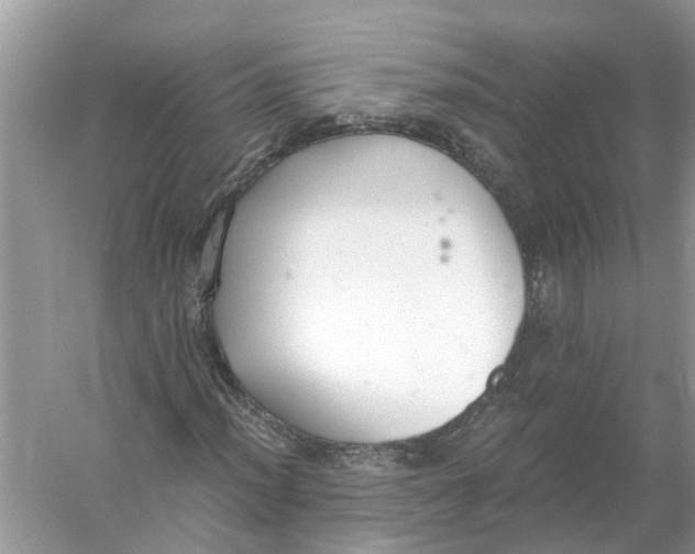 X0000056001012200509162312