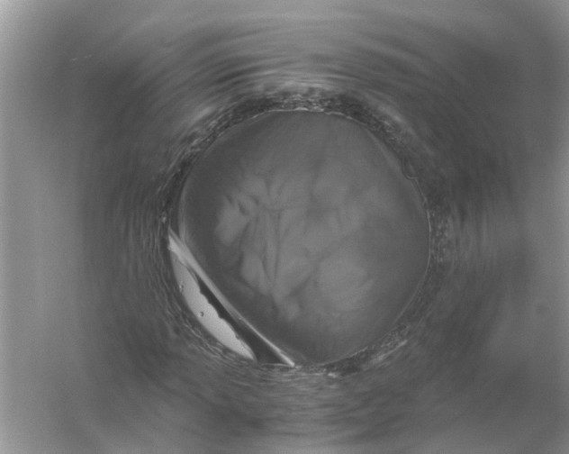 X0000056001013200509162312