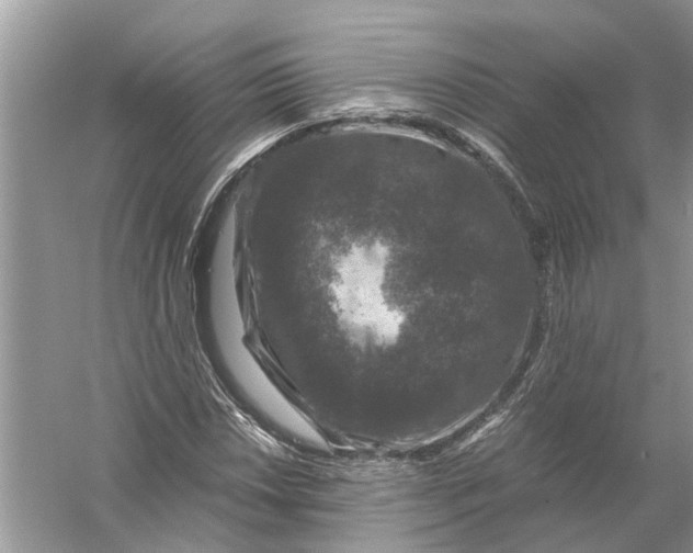 X0000056001018200509162312