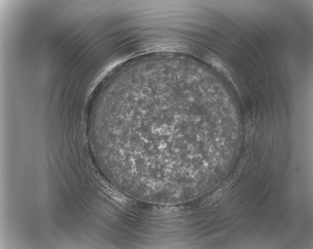 X0000056001019200509162312