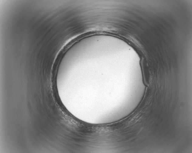 X0000056001020200509162312