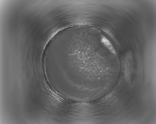 X0000056001023200509162312