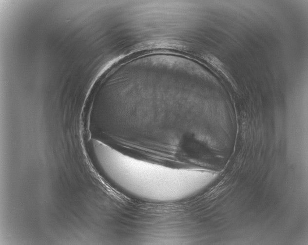 X0000056001024200509162312