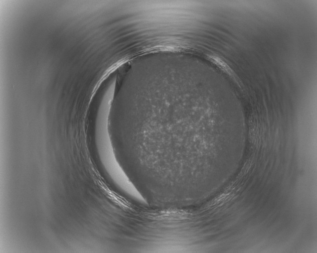 X0000056001026200509162312