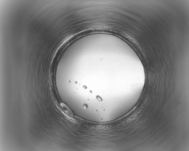 X0000056001029200509162312