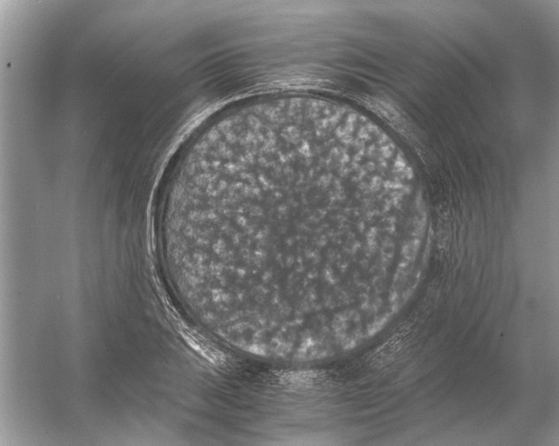 X0000056001031200509162312