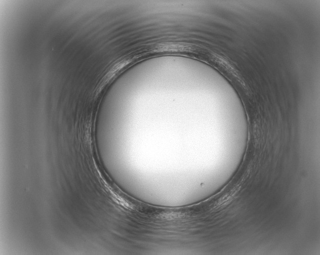 X0000056001033200509162312