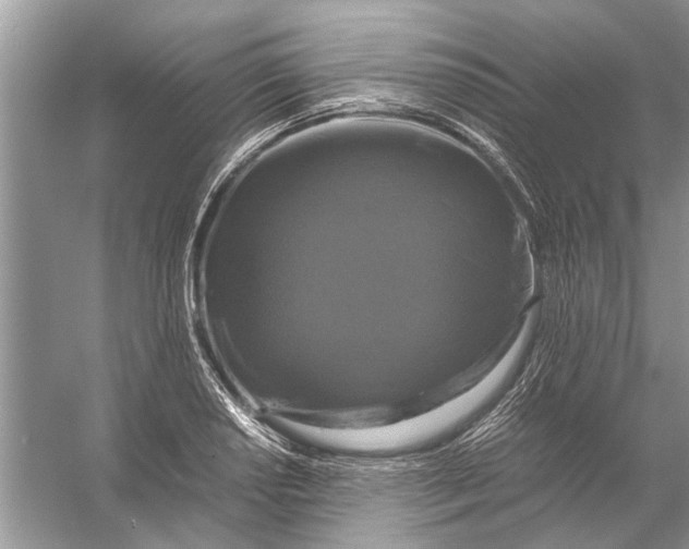 X0000056001034200509162312