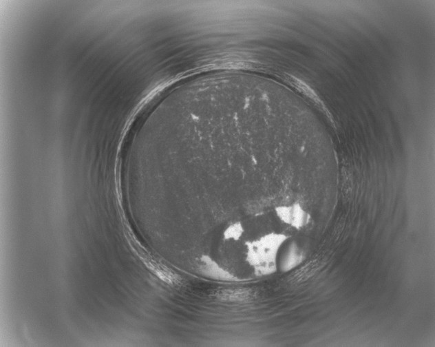 X0000056001035200509162312