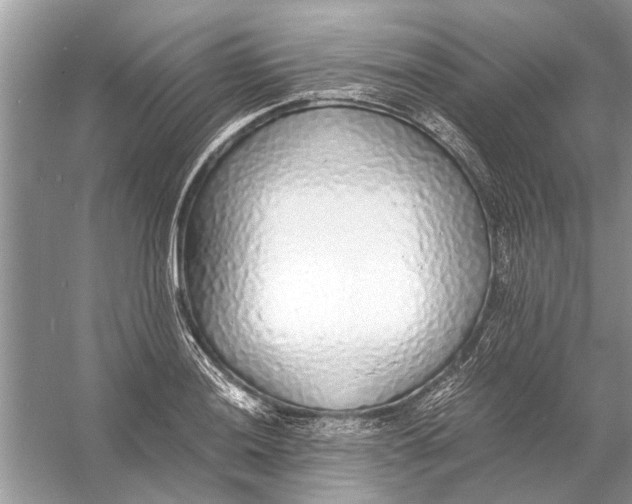 X0000056001036200509162312