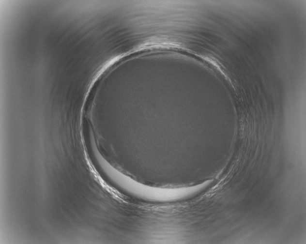 X0000056001038200509162312