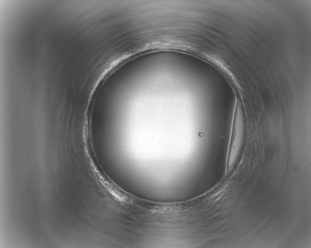 X0000056001040200509162312