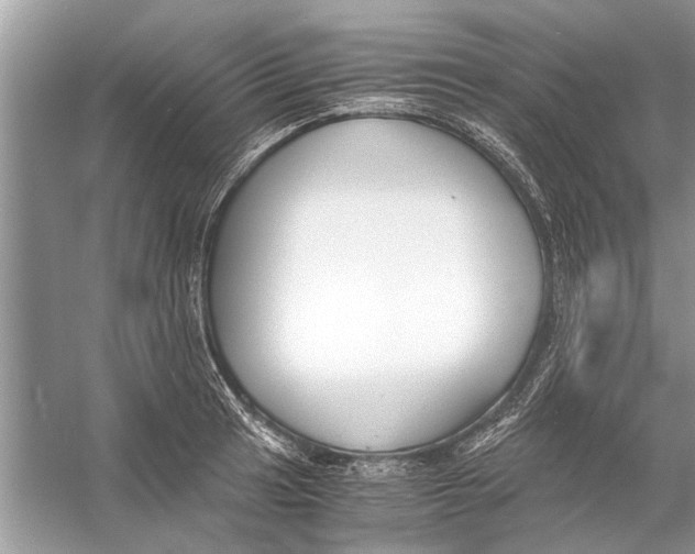 X0000056001041200509162312