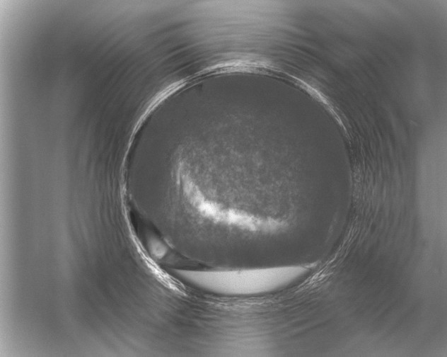 X0000056001042200509162312