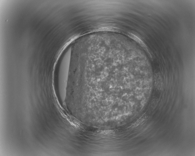 X0000056001043200509162312