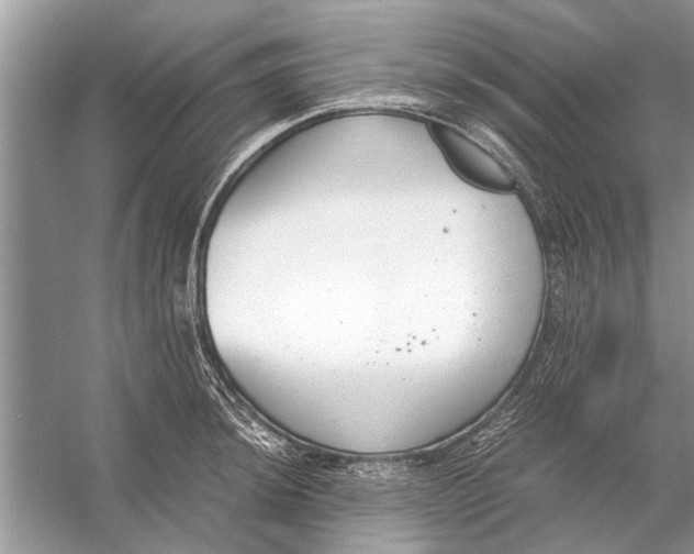 X0000056001044200509162312