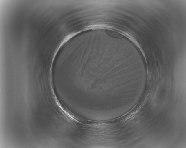 X0000056001045200509162312