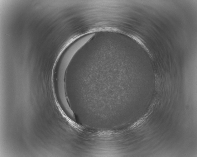 X0000056001046200509162312