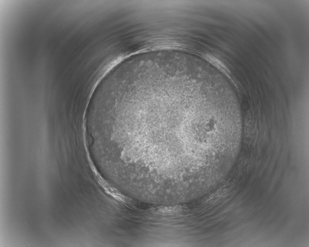 X0000056001047200509162312