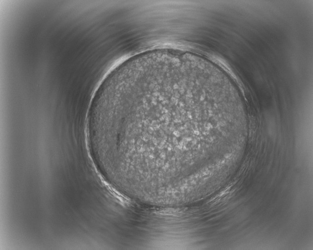 X0000056001048200509162312