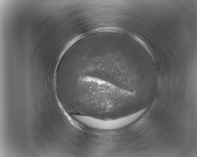 X0000056001050200509162313