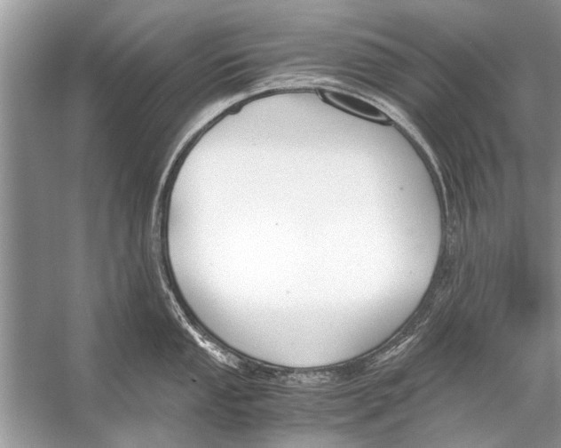 X0000056001053200509162313