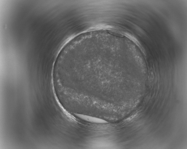 X0000056001055200509162313