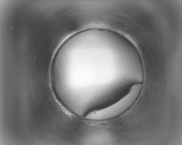 X0000056001056200509162313