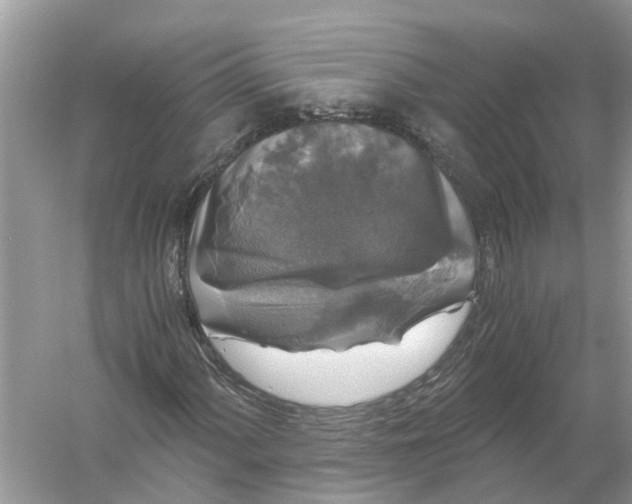 X0000056001060200509162312