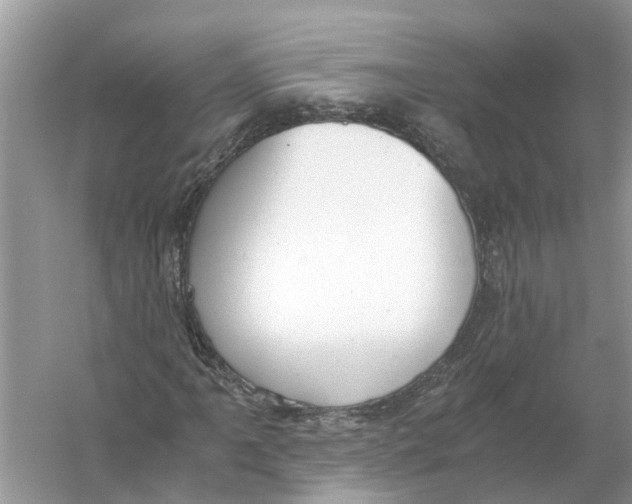 X0000056001061200509162312