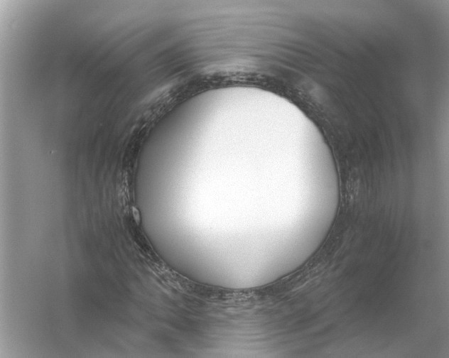 X0000056001062200509162312