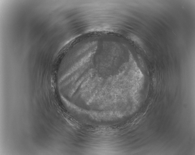 X0000056001064200509162312