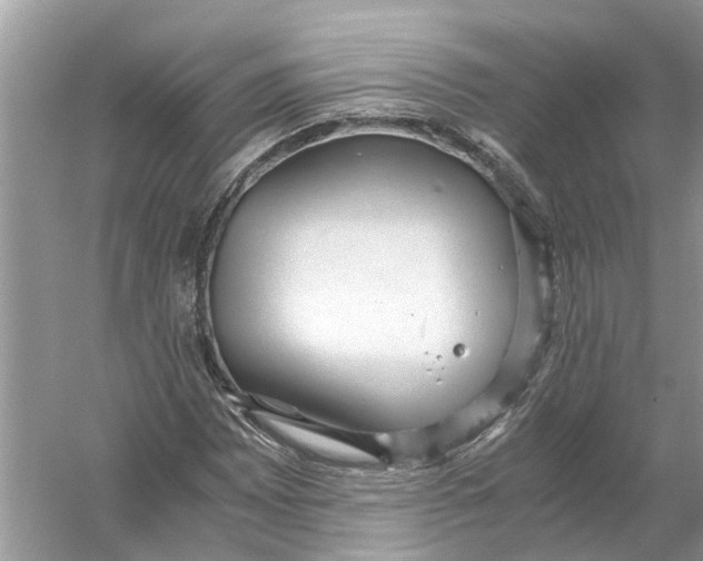 X0000056001065200509162312