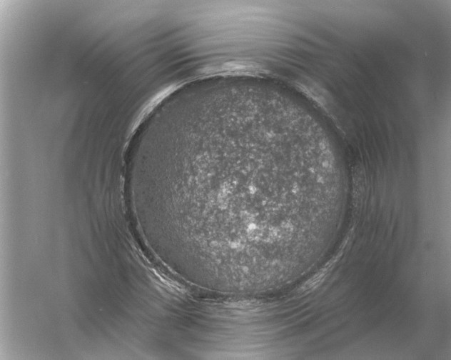 X0000056001066200509162312