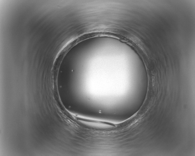 X0000056001069200509162312